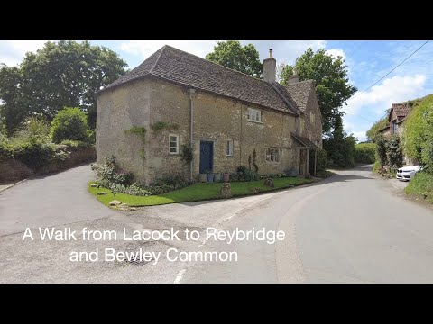 A walk from Lacock to Reybridge and Bewley Common