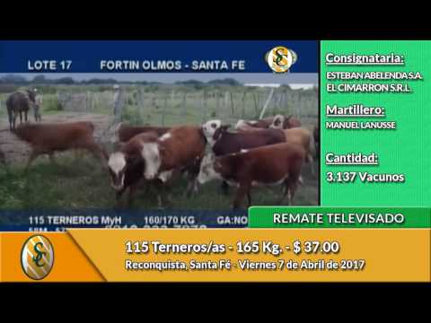 07-04-17 - Venta de Invernada - Esteban Abelenda SA - Santa Fé
