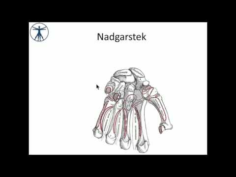 Recenzja o koślawego Buty z koślawego deformacji u dzieci wideo
