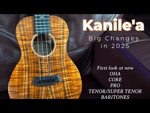 A BIG YEAR FOR KANILE'A UKULELES