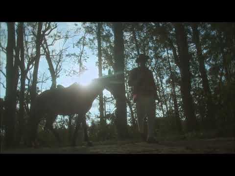 12. Don L -  bingo - Roteiro Pra Aïnouz, Vol. 2