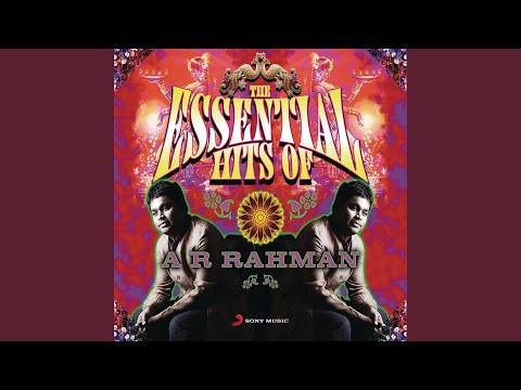 Roja Jaaneman thumbnail