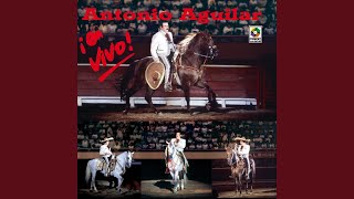 Heraclio Bernal (En Vivo)