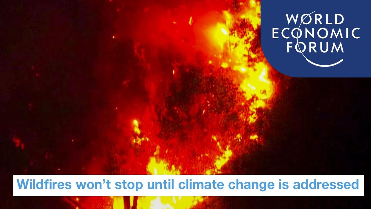This is why we won't stop wildfires until we solve climate change | UpLink