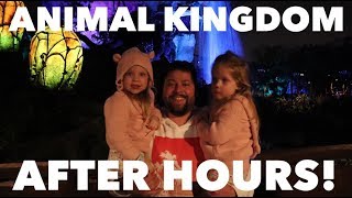 GOING INTO ANIMAL KINGDOM AT DISNEY WORLD AFTER HOURS