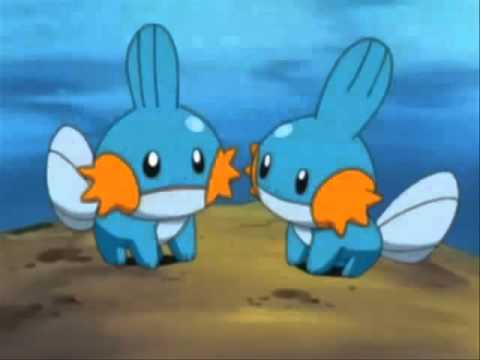 Mudkip