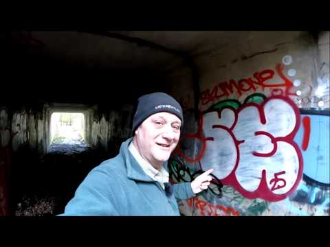 10/02/26 Tree work and a job for the Mustang.