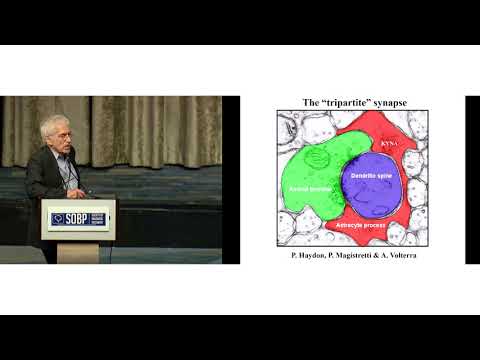 Dr. Robert Schwarcz: Dysfunction of Kynurenic Acid in Major Psychiatric Diseases