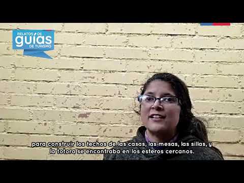 Viajemos con Claudia Flores por la localidad El Totoral - Relatos de Guías