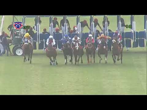 RM3 R7 - Duke The Duke(R.Oliver)