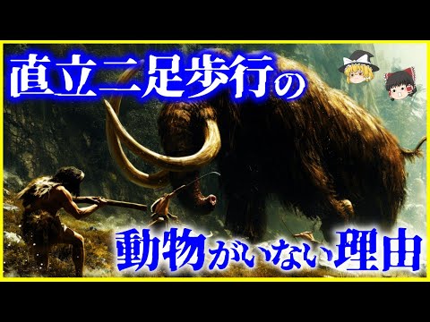 二足歩行動物の例と特徴