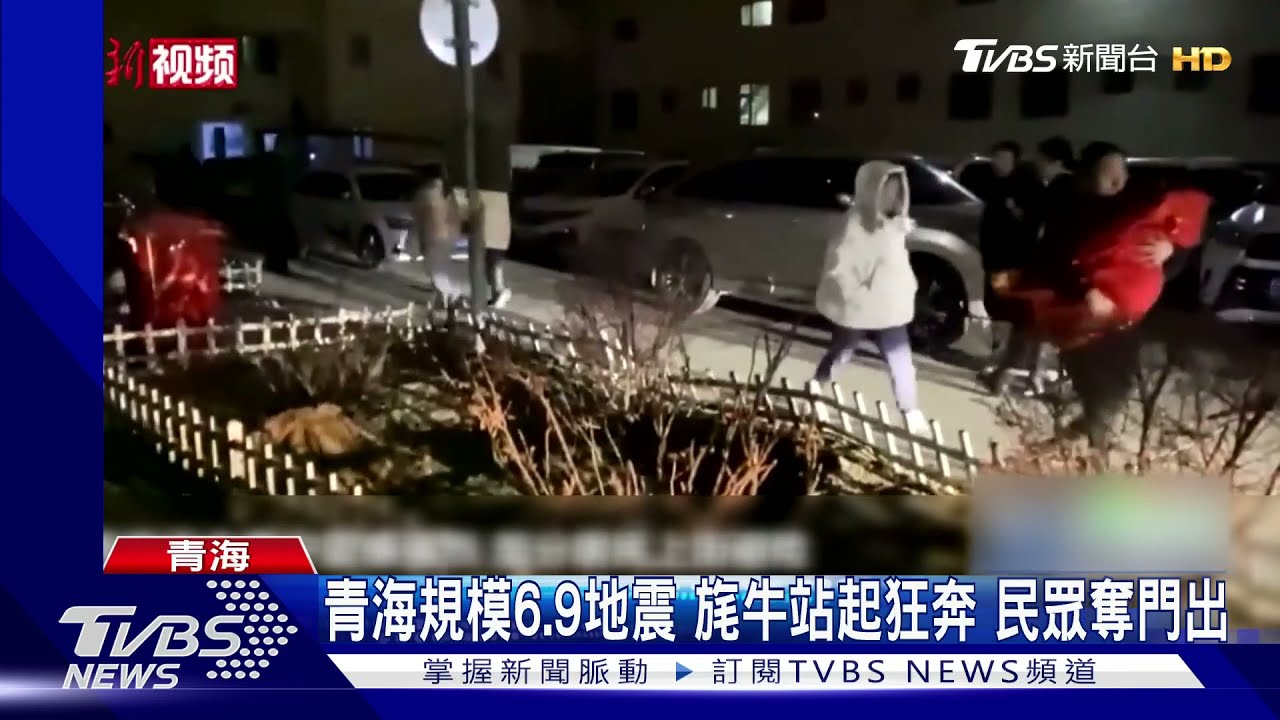 青海地震規模6.9 旄牛站起狂奔 民眾奪門出