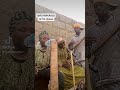 ALI MAKAHO JA HAR JIGAWA