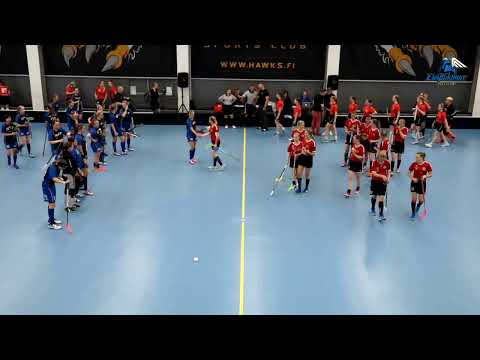 BTSM karsinta ErVi-LMN