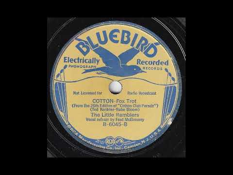 Cotton - The Little Ramblers