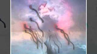 santana   transcendance