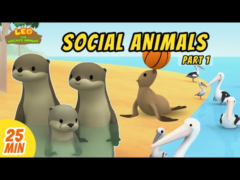 Social Animals Minisode Compilation (Part 1/2) - Leo the Wildlife Ranger | Animation | For Kids