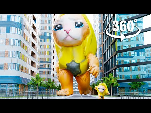 360° - BANANA CAT IN CITY | VR/360°