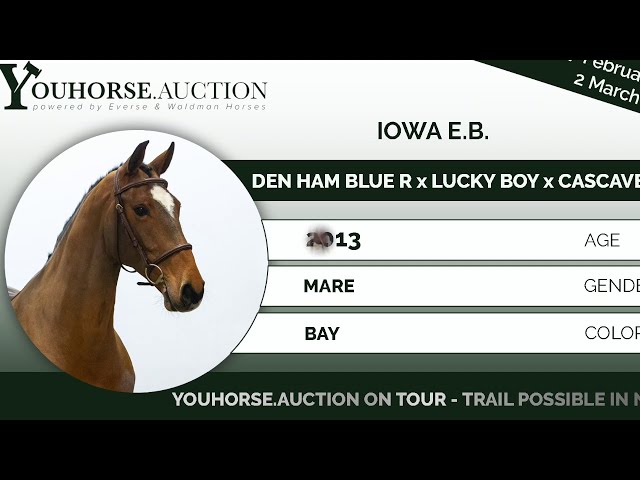 Iowa E.B.practice course