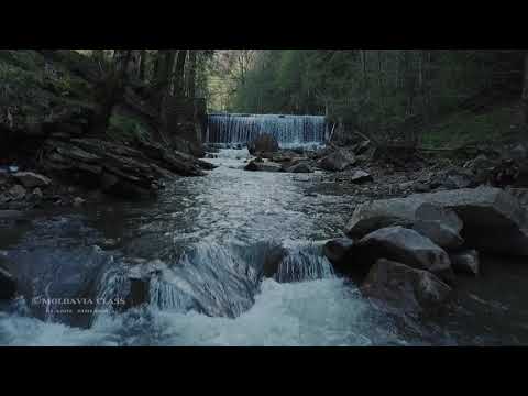 Statiunea Slanic Moldova by Vila Moldavia Class