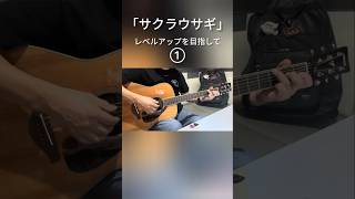 「サクラウサギ」レベルアップを目指して①