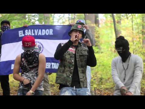 Young Killa - "Perros" Official Music Video (Shot by: @SuperSaiyanDro)