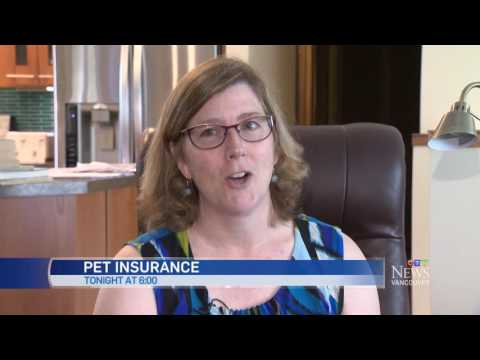 CTV News at 6pm June 22, 2016