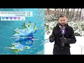 Beast From The East