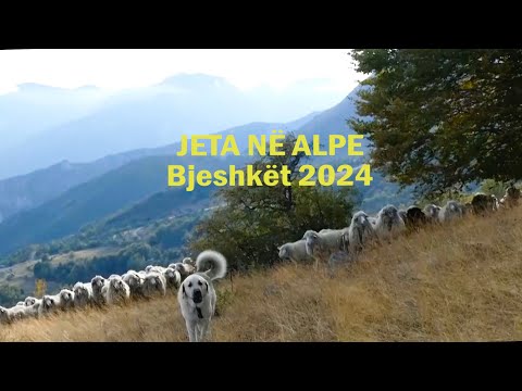 BJESHKËT 2024–Shesta e Lipës,Bjeshka e Irzniqit,Bjeshkët e Vuthajve,Bjeshkët e Tropojës,Rusolia,etj.