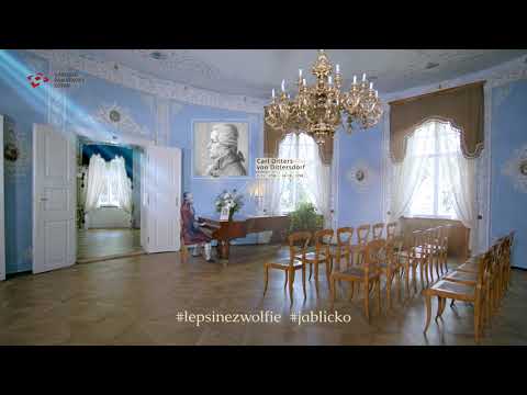 Náhled pro video reference
