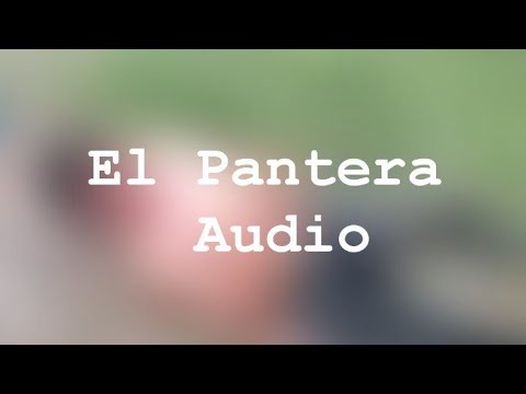 El Pantera (Audio only)