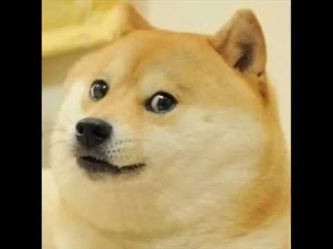 mix dubstep ft. Dj Doge