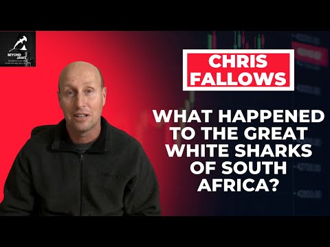 What happened to the Great White Sharks in South Africa? Not the Orcas, according to Chris Fallows