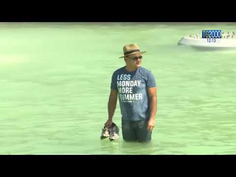 Caldo record in Europa, temperature oltre i 30 gradi in Scandinavia. Incendi in Svezia