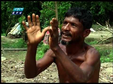 যমুনার ভাঙনের মুখে বগুড়া-সিরাজগঞ্জের বহু এলাকা।