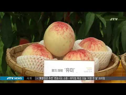 [JTV 8뉴스] 2018.7.6(금)