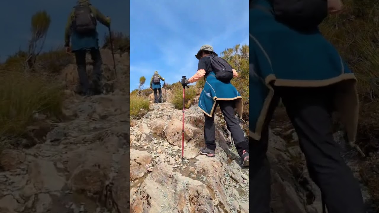 YouTube Short thumbnail