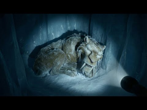 Ice Age Characters in Real Life (Found Footage)