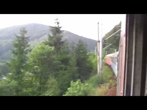 Mestecanis - Iacobeni