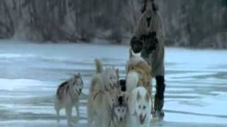 Leonard Cohen   By The Rivers Dark HQ   YouTube
