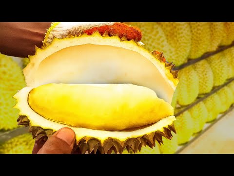 Amazing Ripe Durian Cutting Skills Master Collection - Thailand Street Food