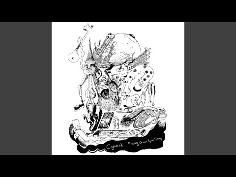 Privately Owned Spiral Galaxy