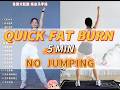 5 Min Beginner Friendly Home Workout Burn Fat Without Jumping Danceworkout Exerciseroutine
