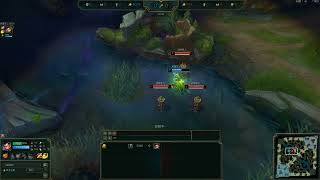 [問題] 飲血戰錘由道具欄看總吸血量問題