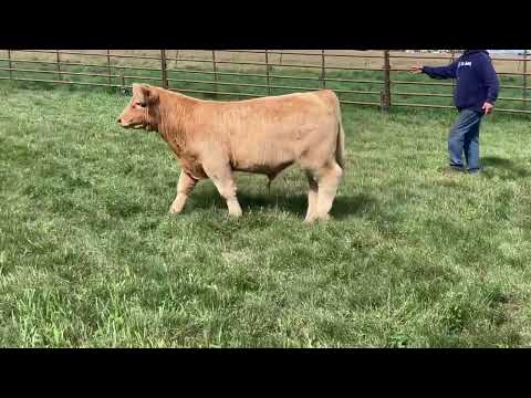 Tag 8 video
