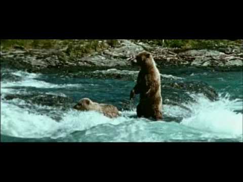 Strange Wilderness - Bears Love Fishing