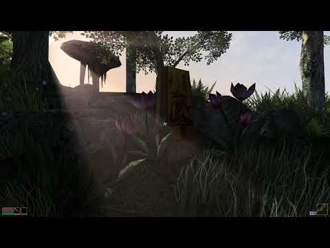 4K Morrowind Overhaul 3.0 in 2021 - Fields of Kummu