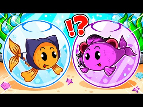 WE BECAME A FAMILY OF FISH