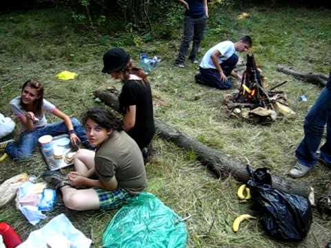 Petresti de Jos Camp