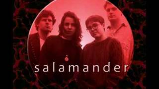Salamander - Say My Name Awhile (featuring Rachel & Petra Haden of That Dog)  *Audio*